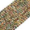 Natural Picasso Stone/Polychrome Jasper Beads Strands G-C116-A84-02-2