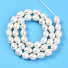 Natural Cultured Freshwater Pearl Beads Strands PEAR-N012-07X-01-4