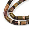 Natural Picasso Jasper/Polychrome Jasper Beads Strands G-N346-03A-05-4