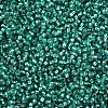 12/0 Grade A Round Glass Seed Beads SEED-Q007-F50-2
