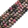 Natural Rhodonite Beads Strands G-P573-B07-01-2