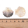 Natural Freshwater Shell Carved Pendants SHEL-N036-15-3