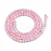 Natural Freshwater Shell Beads Strands X-BSHE-T009A-01C-2