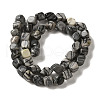 Natural Black Silk Stone/Netstone Beads Strands G-B078-D20-01-3