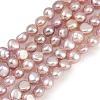 Natural Cultured Freshwater Pearl Beads Strands PEAR-P064-19G-12B-2