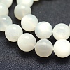 Natural White Moonstone Beads Strands G-P342-02A-12mm-A-3