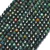 Natural Bloodstone/Heliotrope Stone Beads Strands G-A260-A40-01-2