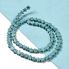 Dyed Synthetic Turquoise Beads Strands G-G085-B32-02-2