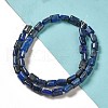 Natural Lapis Lazuli Beads Strands G-G085-A02-01-2