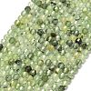 Natural Prehnite Beads Strands G-A260-A34-01-2