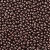 6/0 Glass Seed Beads SEED-L011-08A-08-3