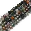 Natural Indian Agate Beads Strands G-A248-A01-01-2