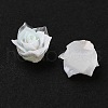 Luminous Resin Decoden Cabochons RESI-K036-50-2