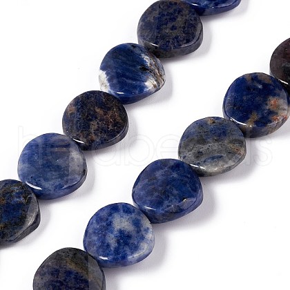 Natural Sodalite Beads Strands G-O120-14-1