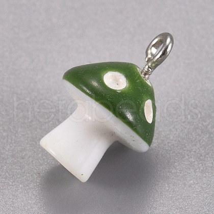 Plastic Pendants KY-WH0020-44A-1