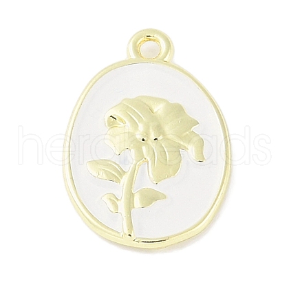 Rack Plating Spray Painted Alloy Pendants PALLOY-F018-14G-02-1