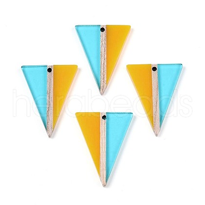 Transparent Resin & Wood Pendants RESI-T057-76-1