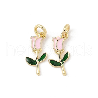 Brass Enamel Charms KK-Q039-10B-G-1