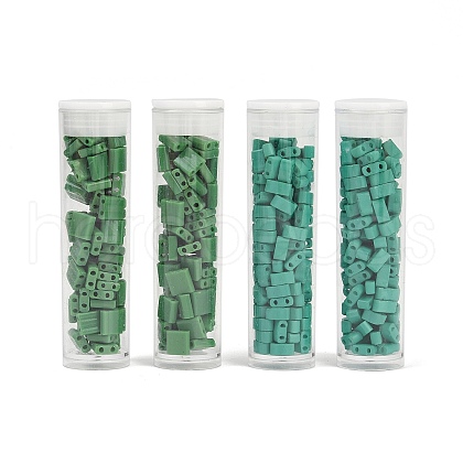  520Pcs 2 Style 2-Hole Glass Seed Beads SEED-NB0001-72B-1