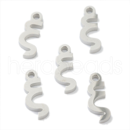 304 Stainless Steel Charms STAS-G244-01X-1