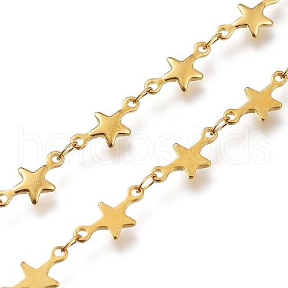 304 Stainless Steel Star Link Chains CHS-M003-06G-1