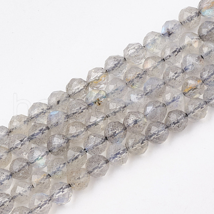 Natural Labradorite Beads Strands G-T107-14-1