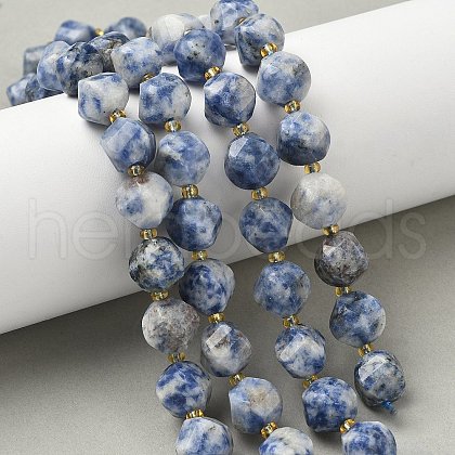 Natural Blue Spot Jasper Beads Strands G-U023-A05-01-1