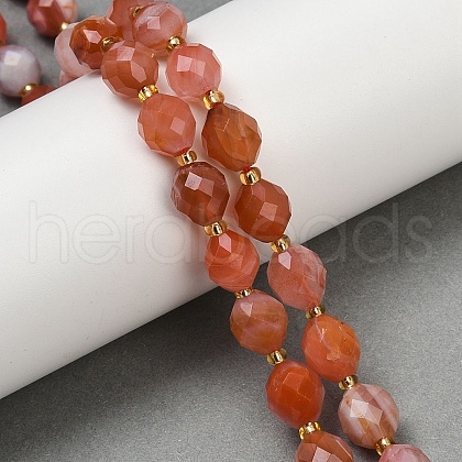 Natural South Red Agate Beads Strands G-N342-149E-1