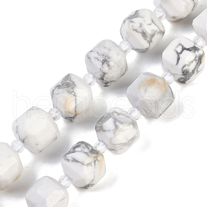Natural Howlite Beads Strands G-B125-O01-01-1