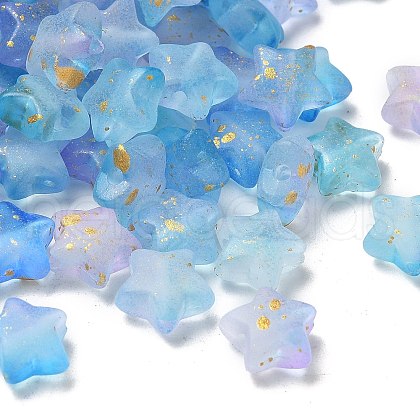 Frosted Acrylic Charms OACR-M023-04F-1
