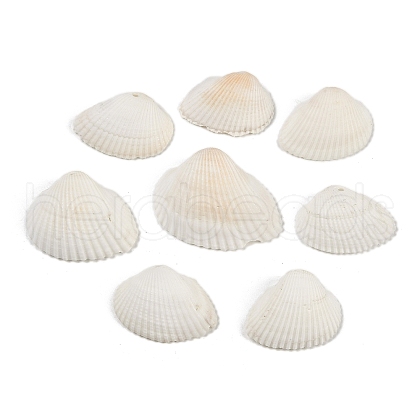 Natural Shell Beads SHEL-K009-16-1