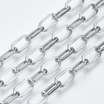 Tarnish Resistant 304 Stainless Steel Paperclip Chains CHS-S001-04B-P-1