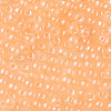 6/0 Imitation Jade Glass Seed Beads SEED-N004-006-24-4