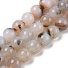 Natural Dendritic Agate Beads Strands G-A248-A07-07-2