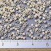MIYUKI Delica Beads SEED-X0054-DB0157-4
