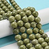 Natural Alashan Agate Beads Strands G-E598-03B-1