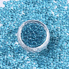 Transparent Glass Beads SEED-S040-09A-07-2