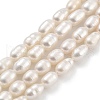 Natural Cultured Freshwater Pearl Beads Strands PEAR-P062-05C-2