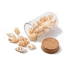 Glass Dome Bottle Display Decorations AJEW-JD00008-03-2