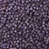 TOHO Round Seed Beads SEED-JPTR08-PF2108-2