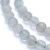 Natural Labradorite Beads Strands G-I279-E19-3