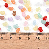 Glass Seed Beads SEED-N007-23A-4