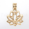 Alloy Diffuser Locket Pendants PALLOY-S062-40G-2