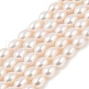 Natural Cultured Freshwater Pearl Beads Strands PEAR-I007-01C-01A-2