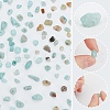 ARRICRAFT 2 Strands 2 Colors Natural Flower Amazonite Chip Beads Strands G-AR0005-98-3