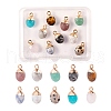 10Pcs 10 Style Natural Gemstone Charms G-LS0002-15-1