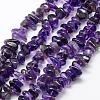 Natural Amethyst Beads Strands G-F521-19-1