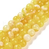 Natural Striped Agate/Banded Agate Beads Strands G-Z060-A01-C20-1