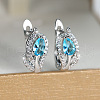 Brass Micro Pave Cubic Zirconia Hoop Earrings WG7D53C-05-1