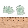 Transparent Acrylic Connector Charms OACR-G036-13-3